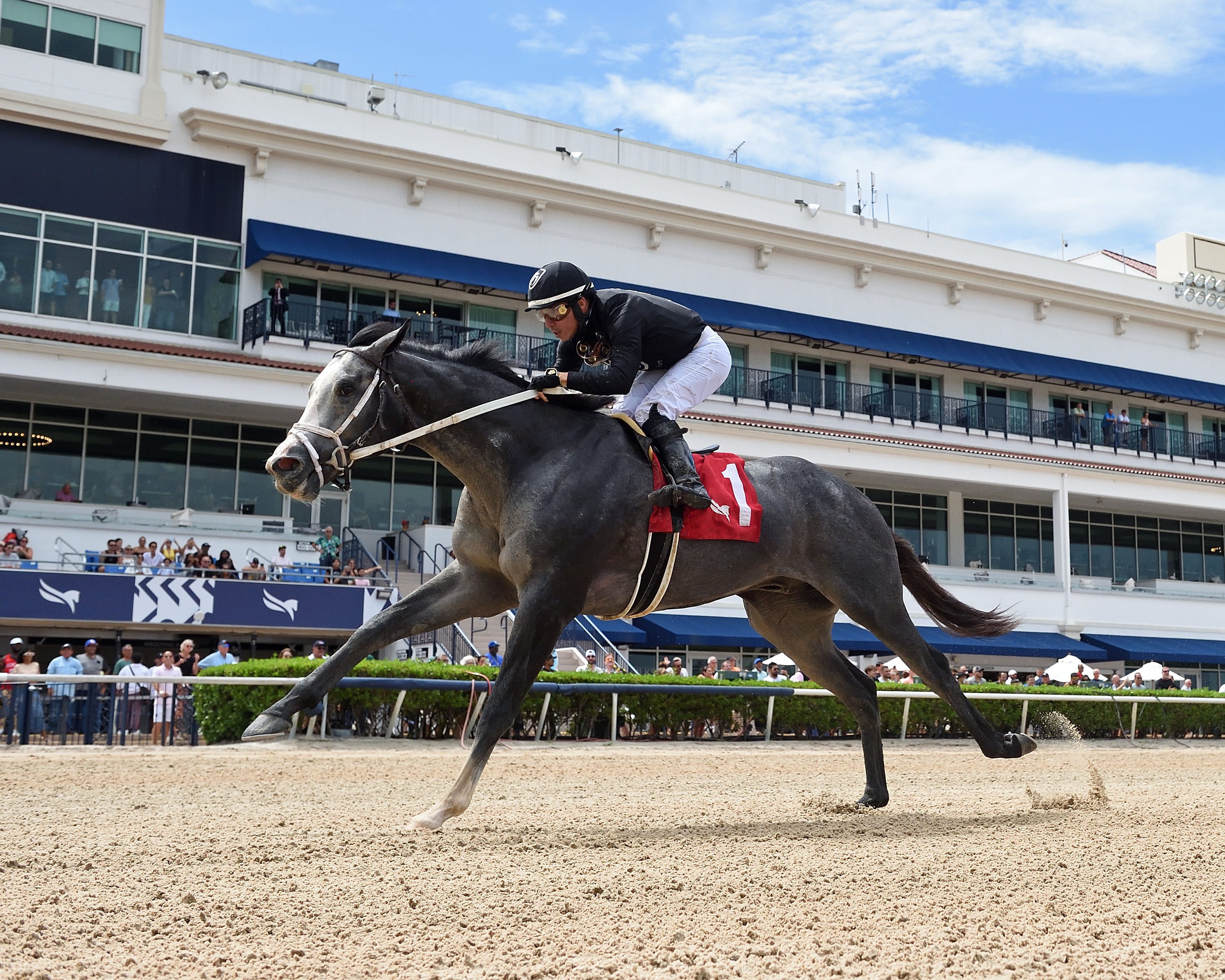 The Secret Stakes of the Washington Summit for a New Middle East